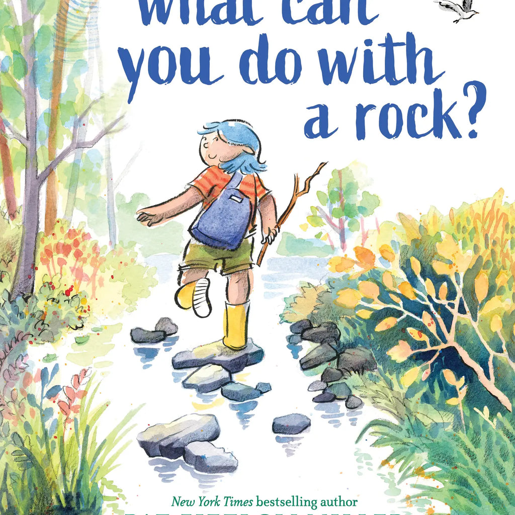 What Can You Do With A Rock Book (8295704985908)