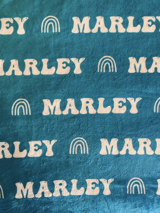 Sugar + Maple Personalized Plush Minky Blanket | Rainbow Icon Repeating Name (8870349701428)
